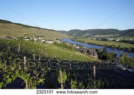 Aerial view of river flowing through landscape, Moselle River, Rhineland-Palatinate, Germany View Large Photo Image Stock Image - Aerial view of river flowing through landscape, Moselle River, Rhineland-Palatinate, Germany . Fotosearch