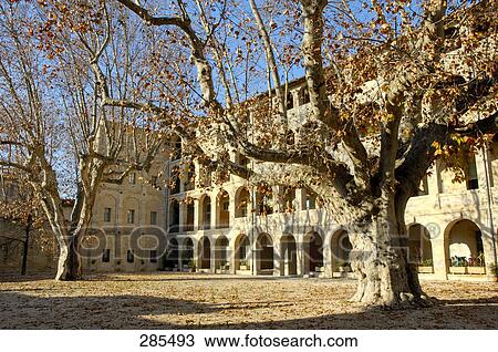 Stock Image - Autumn trees in courtyard of old building, Provence-Alpes-Cote d'Azur, France . Fotosearch