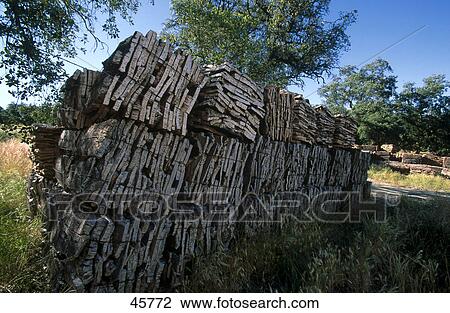 Bark of cork oaks bundled on landscape, Sierra de Aracena, Andalusia, Spain View Large Photo Image Stock Image - Bark of cork oaks bundled on landscape, Sierra de Aracena, Andalusia, Spain . Fotosearch
