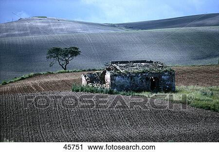 Barn in field, Lebrija, Seville, Andalusia, Spain View Large Photo Image Stock Image - Barn in field, Lebrija, Seville, Andalusia, Spain . Fotosearch