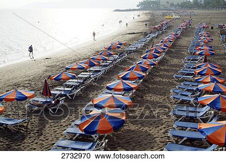 Beach chairs and umbrellas arranged in row on beach View Large Photo Image Stock Image - Beach chairs and umbrellas arranged in row on beach . Fotosearch