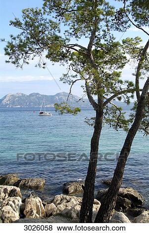 Boat on the sea, stony coast with trees in the foreground, Majorca, Spain View Large Photo Image Stock Photo - Boat on the sea, stony coast with trees in the foreground, Majorca, Spain . Fotosearch