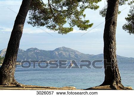 Boat on the sea, two trees in the foreground, Majorca, Spain View Large Photo Image Stock Photo - Boat on the sea, two trees in the foreground, Majorca, Spain . Fotosearch