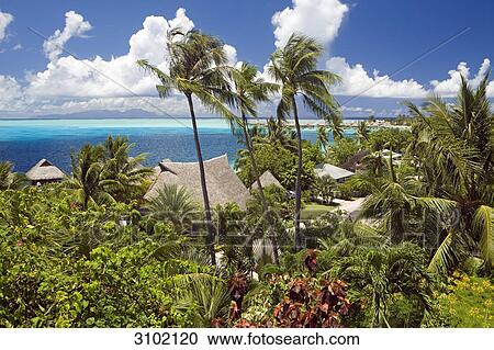 Stock Image - Bora Bora, French Polynesia . Fotosearch