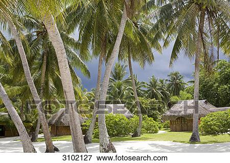 Bora Bora, French Polynesia View Large Photo Image Stock Photo - Bora Bora, French Polynesia . Fotosearch