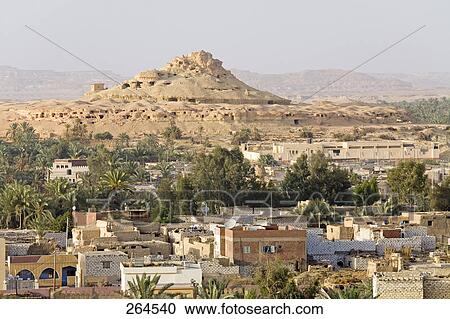 Buildings and trees in city, Siwa Oasis, Libyan Desert, Egypt View Large Photo Image Stock Image - Buildings and trees in city, Siwa Oasis, Libyan Desert, Egypt . Fotosearch