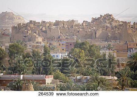 Stock Photo - Buildings and trees in city, Siwa Oasis, Libyan Desert, Egypt . Fotosearch