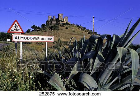 Cactus plant near signboard with castle in background, Almodovar Castle, Andalusia, Spain View Large Photo Image Stock Photography - Cactus plant near signboard with castle in background, Almodovar Castle, Andalusia, Spain . Fotosearch