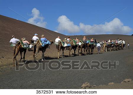 Camel riders, Timanfaya National Park, Lanzarote, Spain, Europe View Large Photo Image Stock Image - Camel riders, Timanfaya National Park, Lanzarote, Spain, Europe . Fotosearch