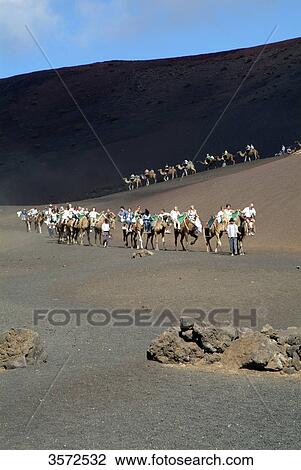 Camel riders, Timanfaya National Park, Lanzarote, Spain, Europe View Large Photo Image Stock Image - Camel riders, Timanfaya National Park, Lanzarote, Spain, Europe . Fotosearch