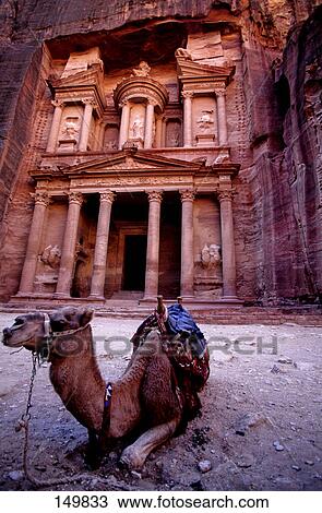 Camel sitting in front of ruins, Petra, Jordan View Large Photo Image Stock Image - Camel sitting in front of ruins, Petra, Jordan . Fotosearch