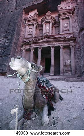 Stock Photo - Camel sitting in front of ruins, Petra, Jordan . Fotosearch