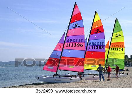 Catamarans at beach, Pollenca, Mallorca, Spain, Europe View Large Photo Image Stock Image - Catamarans at beach, Pollenca, Mallorca, Spain, Europe . Fotosearch