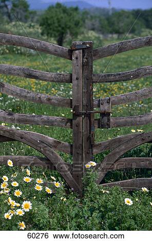 Stock Photograph - Close-up of a closed gate in a field, Balearic Island, Majorca, Spain . Fotosearch