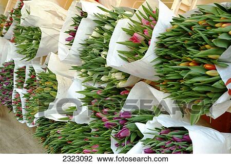 Close-up of bouquets of flowers View Large Photo Image Stock Image - Close-up of bouquets of flowers . Fotosearch