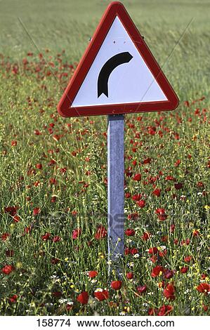 Close-up of directional sign in poppy field View Large Photo Image Picture - Close-up of directional sign in poppy field . Fotosearch