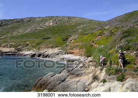 Coastal path at the Cap Taillat near St. Tropez, France View Large Photo Image Stock Image - Coastal path at the Cap Taillat near St. Tropez, France . Fotosearch