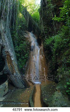 Creek in forest, Alpujarras, Andalusian Sierra Nevada, Andalusia, Spain  View Large Photo Image Stock Image - Creek in forest, Alpujarras, Andalusian Sierra Nevada, Andalusia, Spain . Fotosearch