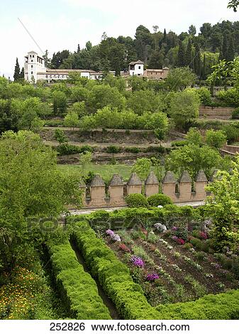Cultivated field near palace, Alhambra, Granada, Andalusia, Spain View Large Photo Image Stock Photograph - Cultivated field near palace, Alhambra, Granada, Andalusia, Spain . Fotosearch