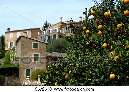 Deia, Mallorca, Spain, Europe View Large Photo Image Stock Image - Deia, Mallorca, Spain, Europe . Fotosearch
