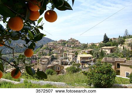 Deia, Mallorca, Spain, Europe View Large Photo Image Stock Photo - Deia, Mallorca, Spain, Europe . Fotosearch