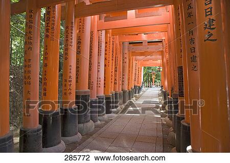 Diminishing perspective of torii gate, Fushimi Inari Shrine, Kyoto, Japan View Large Photo Image Stock Image - Diminishing perspective of torii gate, Fushimi Inari Shrine, Kyoto, Japan . Fotosearch