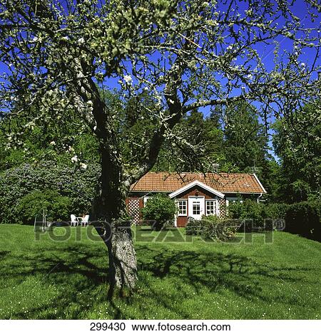 Facade of cottage, Sweden View Large Photo Image Stock Image - Facade of cottage, Sweden . Fotosearch