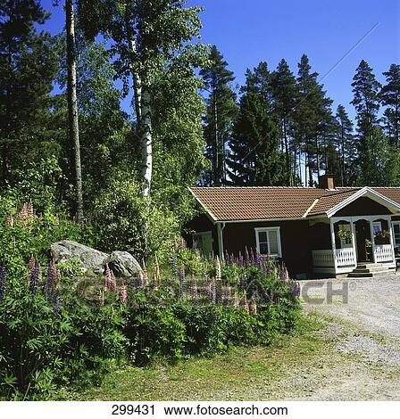 Stock Image - Facade of cottage, Sweden . Fotosearch