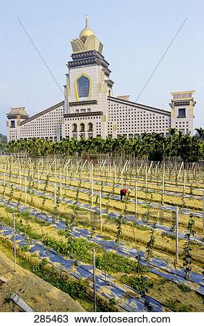 Field in front of monastery, Chung Tai Chan Monastery, Puli, Taiwan View Large Photo Image Stock Image - Field in front of monastery, Chung Tai Chan Monastery, Puli, Taiwan . Fotosearch