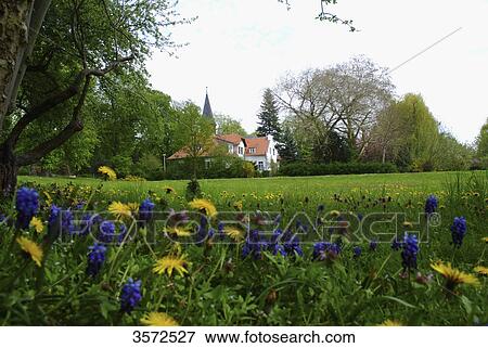 Stock Photo - Flower meadow and church, Brandenburg, Germany, Europe . Fotosearch
