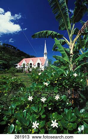 Flowers blooming in front of church View Large Photo Image Stock Image - Flowers blooming in front of church . Fotosearch
