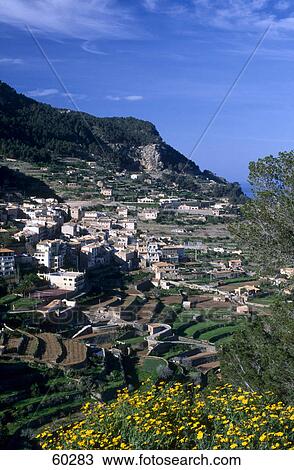 Flowers in bloom with village in the background, Banyalbufar, Majorca, Balearic Islands, Spain View Large Photo Image Stock Image - Flowers in bloom with village in the background, Banyalbufar, Majorca, Balearic Islands, Spain . Fotosearch