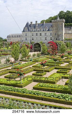 Formal garden in front of castle, Chateau De Villandry, Indre-Et-Loire, France View Large Photo Image Stock Photograph - Formal garden in front of castle, Chateau De Villandry, Indre-Et-Loire, France . Fotosearch