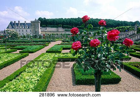 Stock Photograph - Formal garden in front of castle, Chateau De Villandry, Indre-Et-Loire, France . Fotosearch