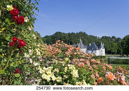 Garden in front of castle, Chateau De La Chatonniere, Indre-Et-Loire, France View Large Photo Image Stock Image - Garden in front of castle, Chateau De La Chatonniere, Indre-Et-Loire, France . Fotosearch