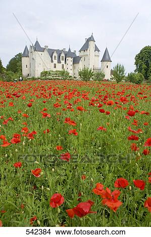 Garden in front of castle, Chateau Du Rivau, Indre-Et-Loire, France View Large Photo Image Picture - Garden in front of castle, Chateau Du Rivau, Indre-Et-Loire, France . Fotosearch