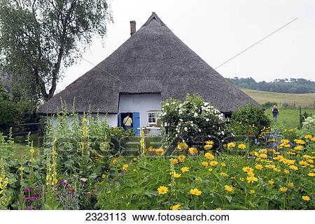 Garden in front of cottage, Gross Zicker, Ruegen, Mecklenburg-Western Pomerania, Germany View Large Photo Image Stock Image - Garden in front of cottage, Gross Zicker, Ruegen, Mecklenburg-Western Pomerania, Germany . Fotosearch