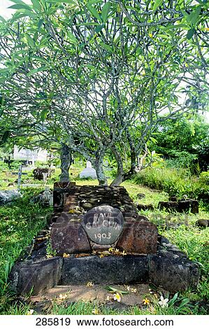 Grave near tree at cemetery, Nuku Hiva, Marquesas Islands, French Polynesia View Large Photo Image Stock Photo - Grave near tree at cemetery, Nuku Hiva, Marquesas Islands, French Polynesia . Fotosearch