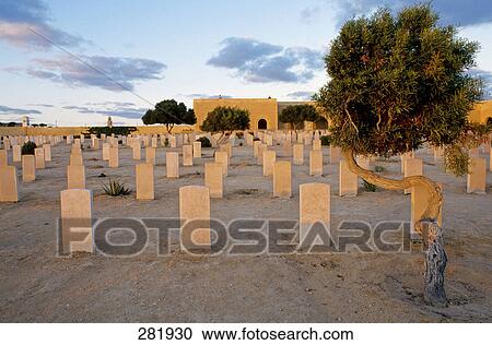 Graves in battlefield, Alexandria, Egypt View Large Photo Image Stock Image - Graves in battlefield, Alexandria, Egypt . Fotosearch
