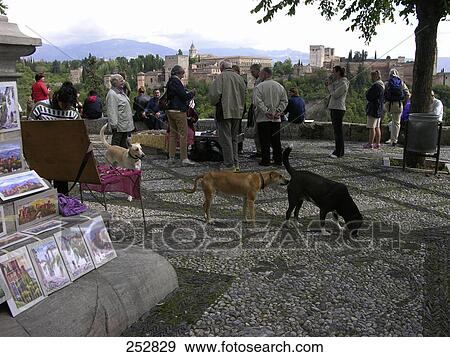 Stock Photo - Group of people and dogs at market, Granada, Andalusia, Spain . Fotosearch