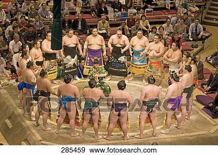 Group of sumo wrestlers View Large Photo Image Stock Photo - Group of sumo wrestlers . Fotosearch
