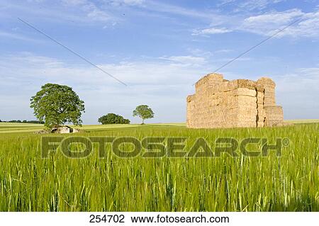 Stock Image - Haystack in field, Indre-Et-Loire, France . Fotosearch