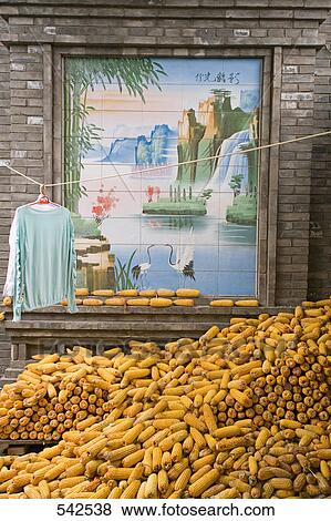 Heap of corns near brick wall, Pingyao, Shaanxi Province, China View Large Photo Image Stock Photo - Heap of corns near brick wall, Pingyao, Shaanxi Province, China . Fotosearch