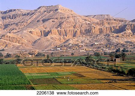 High angle view of agricultural fields with mountains, Luxor, Egypt View Large Photo Image Stock Photo - High angle view of agricultural fields with mountains, Luxor, Egypt . Fotosearch