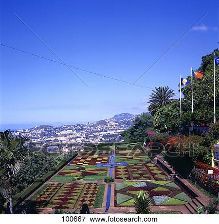 High angle view of botanical garden, Funchal, Madeira, Portugal View Large Photo Image Stock Photo - High angle view of botanical garden, Funchal, Madeira, Portugal . Fotosearch