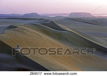 High angle view of man walking in sand dune, Siwa Oasis, Libyan Desert, Egypt View Large Photo Image Stock Photo - High angle view of man walking in sand dune, Siwa Oasis, Libyan Desert, Egypt . Fotosearch