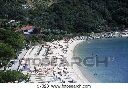 High angle view of tourists on beach, Elba, Tuscany, Italy View Large Photo Image Stock Image - High angle view of tourists on beach, Elba, Tuscany, Italy . Fotosearch