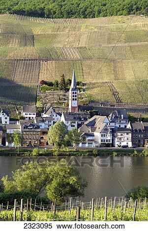 High angle view of vineyard, Moselle River, Rhineland-Palatinate, Germany View Large Photo Image Stock Photography - High angle view of vineyard, Moselle River, Rhineland-Palatinate, Germany . Fotosearch