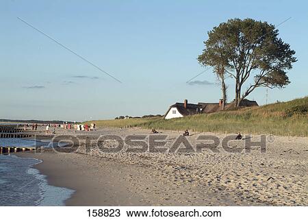 House on beach, Fischland-Darss-Zingst, Ahrenshoop, Nordvorpommern, Mecklenburg-Vorpommern, Germany View Large Photo Image Stock Image - House on beach, Fischland-Darss-Zingst, Ahrenshoop, Nordvorpommern, Mecklenburg-Vorpommern, Germany . Fotosearch