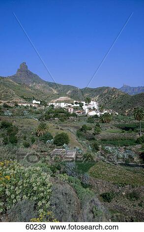 Houses in a village with mountain peak in the background, Roque Bentaiga, Gran Canaria, Canary Islands, Spain View Large Photo Image Stock Photo - Houses in a village with mountain peak in the background, Roque Bentaiga, Gran Canaria, Canary Islands, Spain . Fotosearch